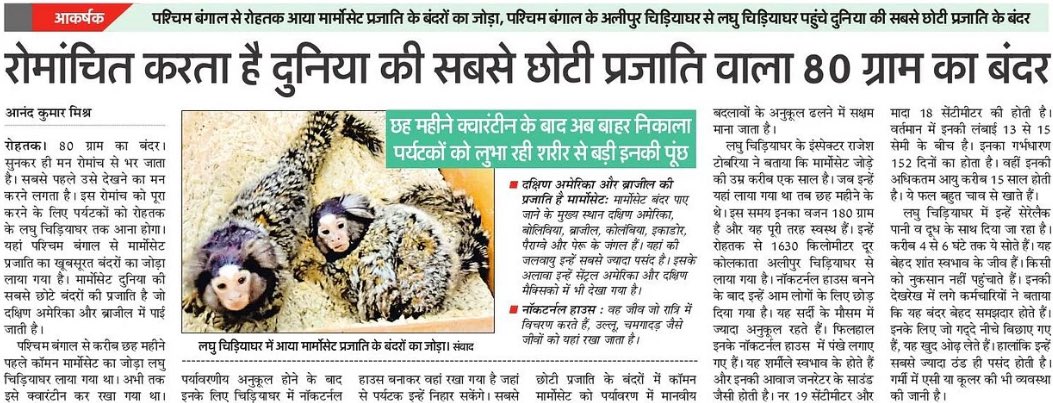 yogesh narayan dixit (@dixityogesh) on Twitter photo YesтАж This Is Smallest Monkey. You Can See This miraculous Creature Of Nature In RohtakтАж.News By Anand Mishra In Amar Ujala Rohtak Main Edition..
<a href="/jaideepkarnik/">Jaideep Karnik</a> <a href="/mlkhattar/">Manohar Lal</a> <a href="/AmarUjalaNews/">Amar Ujala</a> YesтАж This Is Smallest Monkey. You Can See This miraculous Creature Of Nature In RohtakтАж.News By Anand Mishra In Amar Ujala Rohtak Main Edition..
<a href="/jaideepkarnik/">Jaideep Karnik</a> <a href="/mlkhattar/">Manohar Lal</a> <a href="/AmarUjalaNews/">Amar Ujala</a>