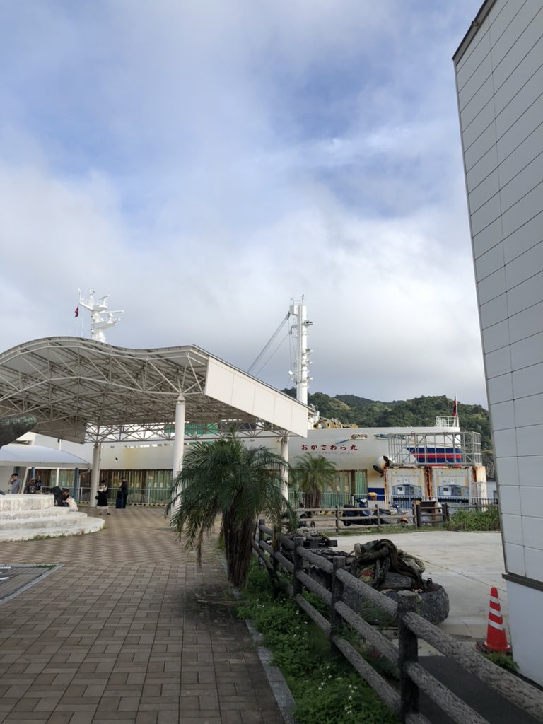 Makoto Koyanagi tweet media