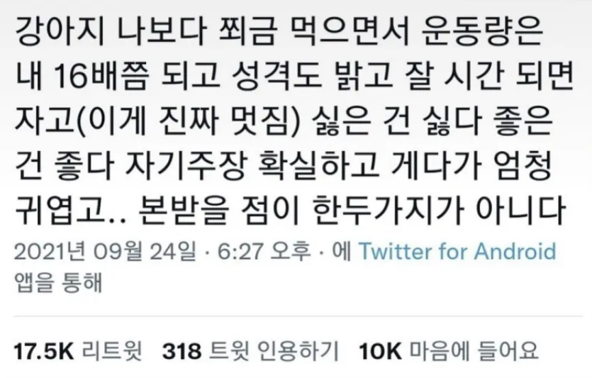 esprecchiato's tweet photo. 나도 본받아야겠다 https://t.co/yOXaCRt5rK