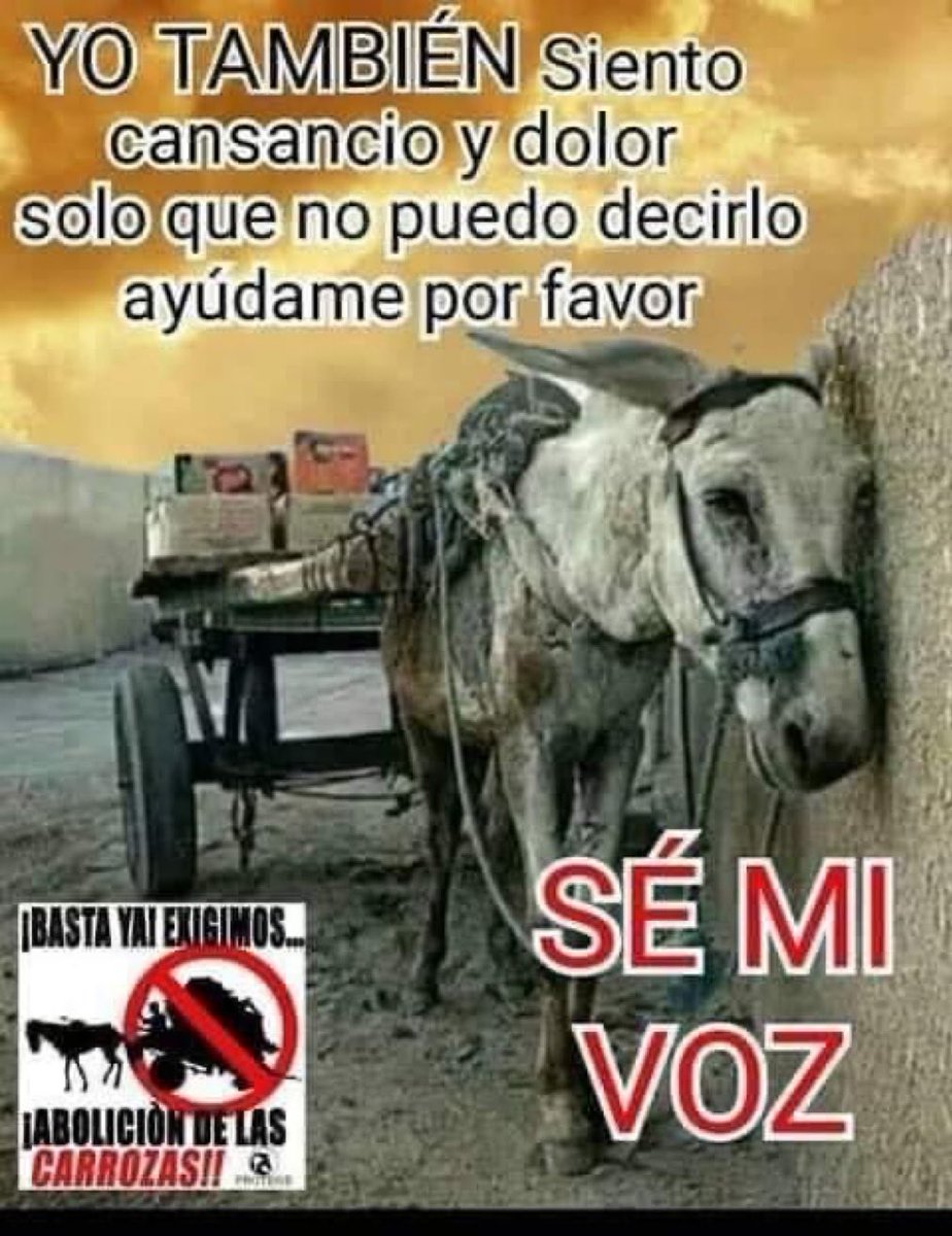 de_salvadorenos's tweet photo. Ojalá que todos les tuviéramos más empatía. 🥺🥺🥺🥺 https://t.co/SRVx9097ak