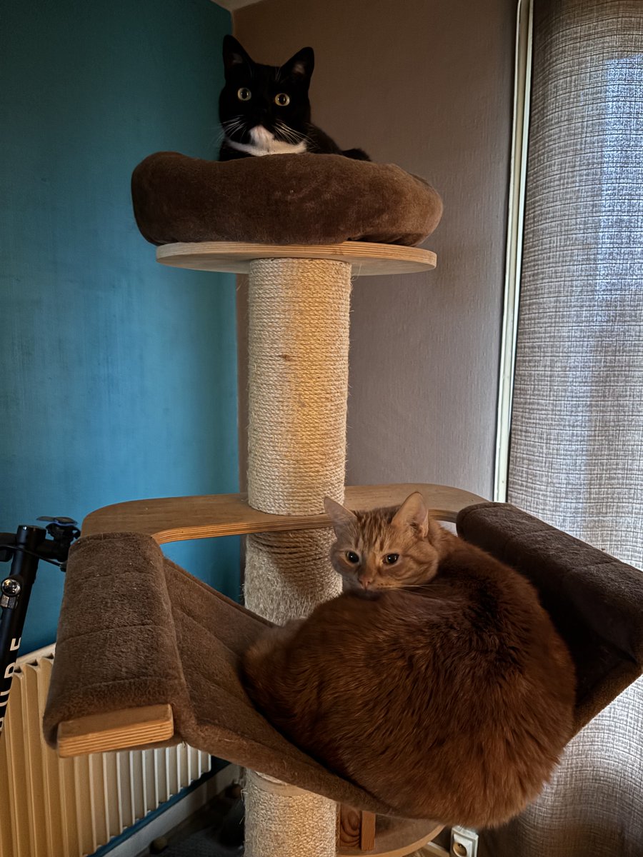 lefilouchat's tweet photo. On est là https://t.co/JAgKmQM2dx