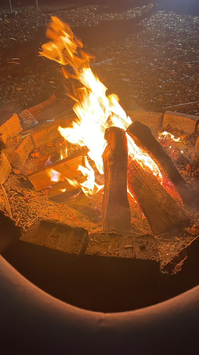Almighty_Rex448's tweet photo. Chilling https://t.co/er8L0e4g8Z