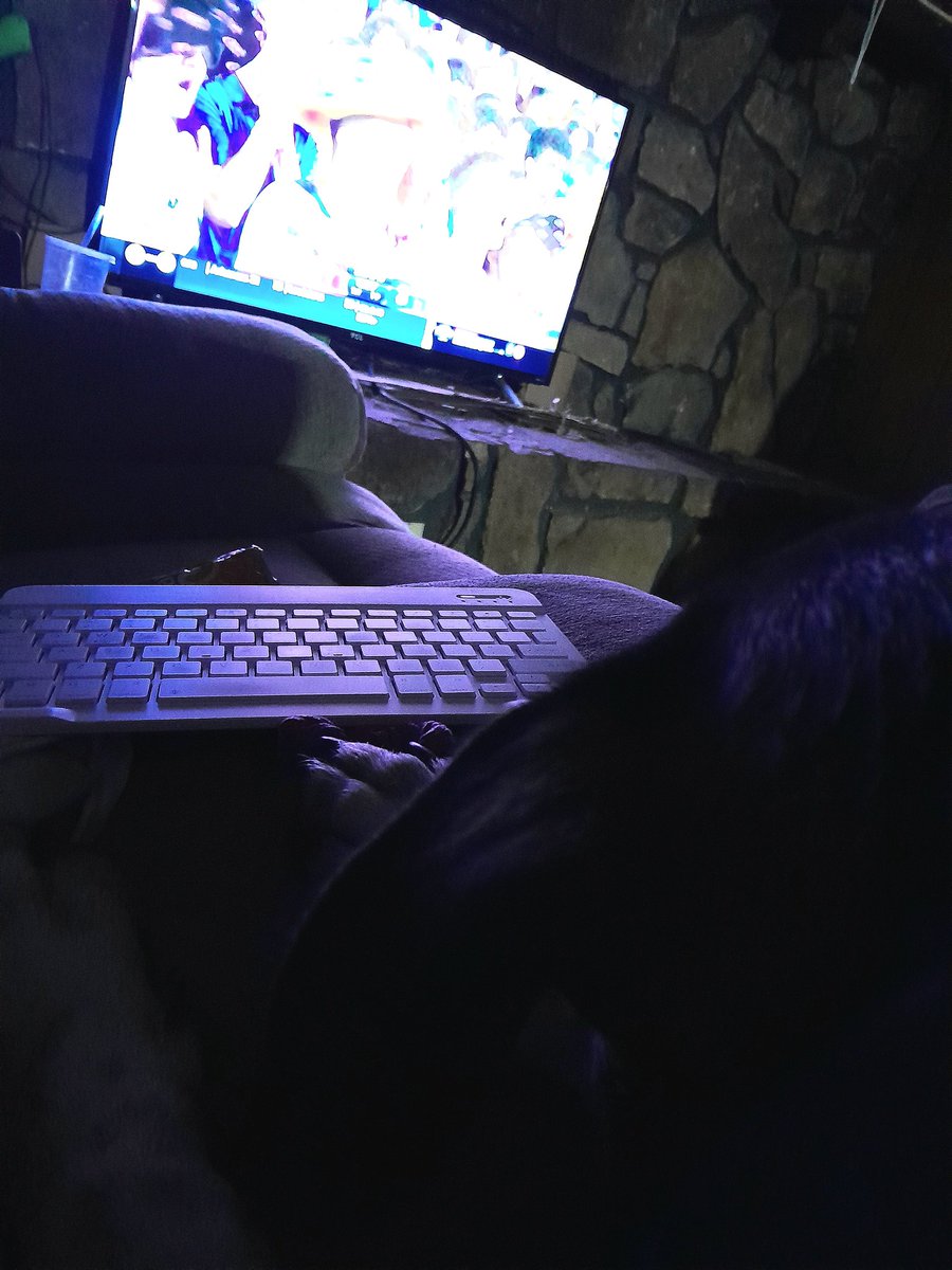 ByAprilWilson's tweet photo. I got about 1,000 words down before my 100 lb lap dog decided he wanted to cuddle 🤷‍♀️ The game is on anyway #rtr #writerscommunity #RollTide #stillwriting https://t.co/9dnE0yOdPI