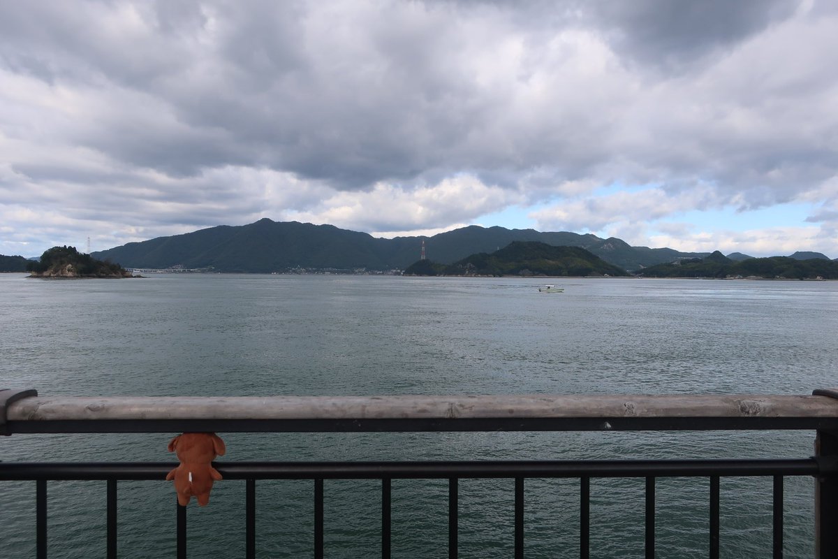 nknk6164's tweet photo. #ぬ犬 https://t.co/ZahKkZF3r0