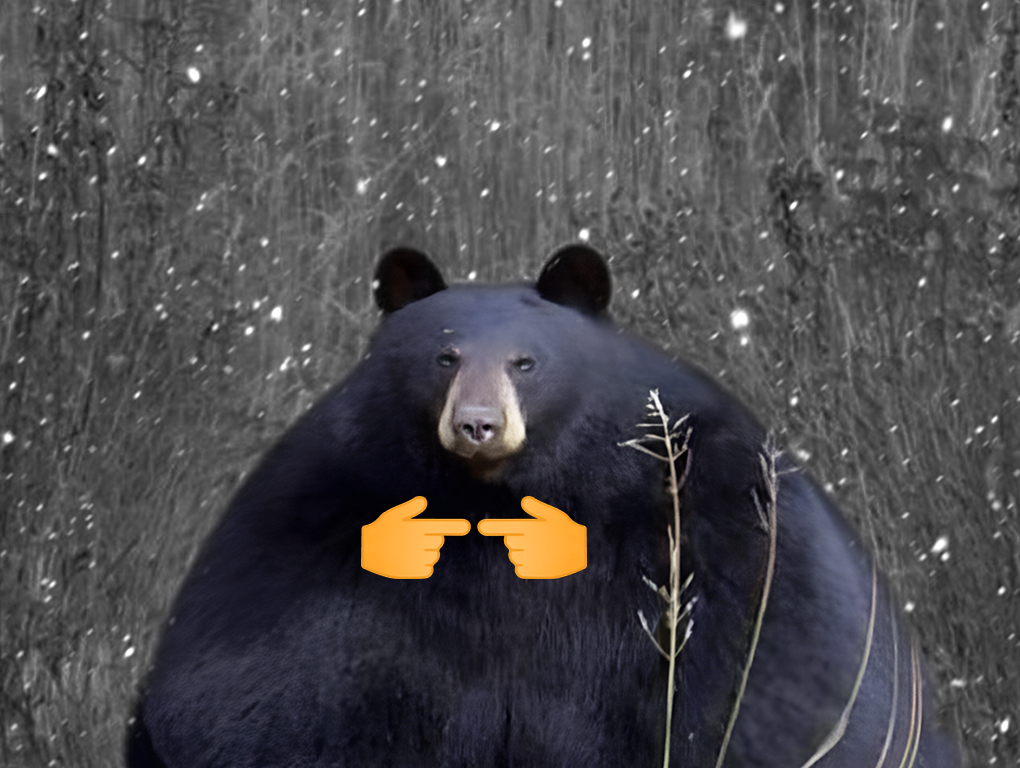 unich_com's tweet photo. Weekend vibes, everyone! Here’s a member of Freedom Fam!

He’s looted so many FD Points that surviving 3 crypto winters would be easy.🧡 https://t.co/MXeuEByyOW