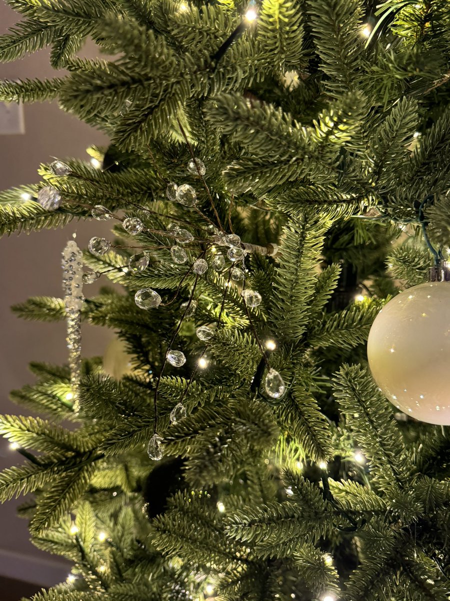 payton mitchell tweet media