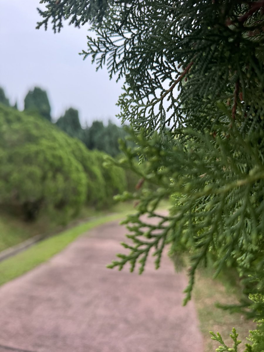 10 Nov 2024 | 🏔️☺️Brisk Waking di Taman Saujana Hijau, Putrajaya

“Moga kita semua dikurniakan kesihatan dalam ketaatan padaMu ya Allah”

موݢا رضا الله برسام کيت سموا