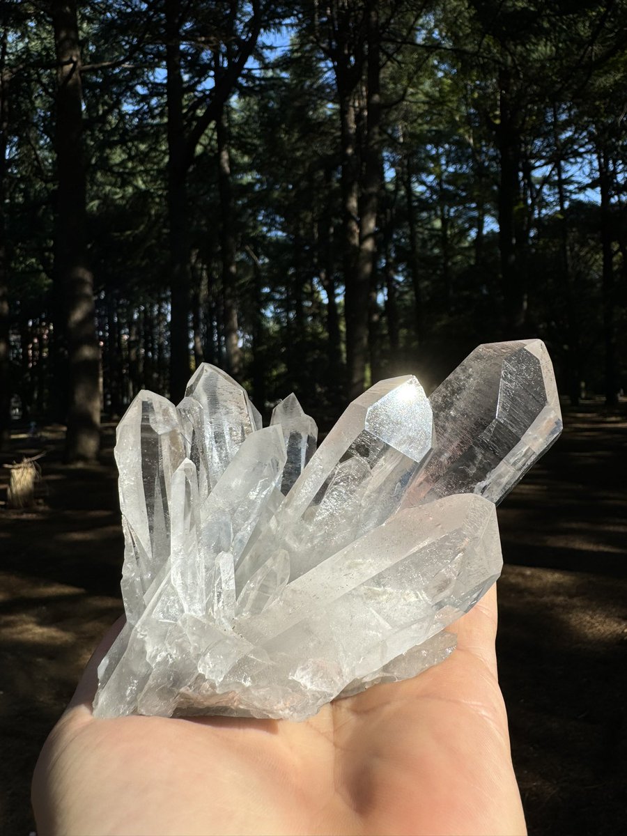 今日は天気がいいので水晶を日光浴させています☀️

日光浴させる事によって、エネルギーを浄化したり活性化したりすることができます✨

定期的に行うことで、水晶を清らかで活力のある状態に保つことができるので皆様も是非やってみてください🥰