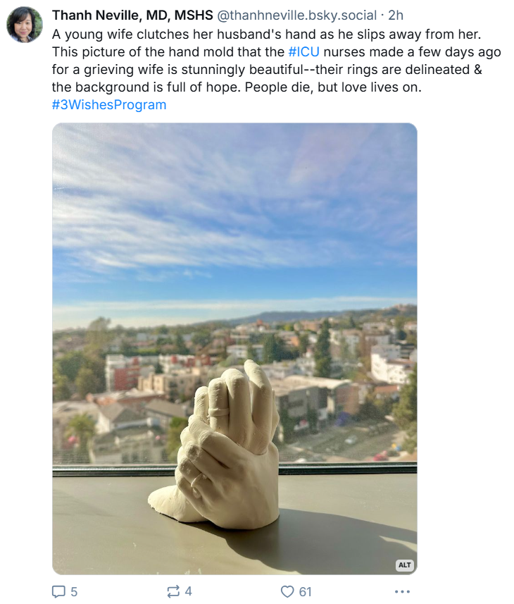 3wishesproject_'s tweet image. 