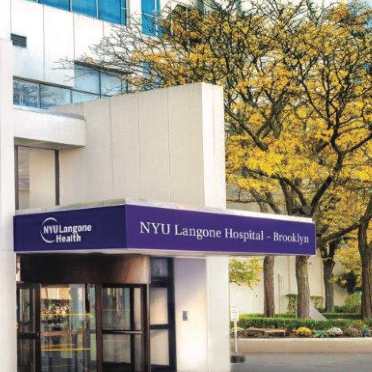 Felix Yang, MD, FACC, FHRS (@fyang_ep) on Twitter photo So very excited to be entrusted with the role of Electrophysiology Director at <a href="/NYULangoneBK/">NYU Langone in Brooklyn</a> where we will offer the full gamut of EP services to Brooklyn and its neighboring regions. Calling for awesome RN, PA, NPs to join us as we rapidly grow so please reach out! So very excited to be entrusted with the role of Electrophysiology Director at <a href="/NYULangoneBK/">NYU Langone in Brooklyn</a> where we will offer the full gamut of EP services to Brooklyn and its neighboring regions. Calling for awesome RN, PA, NPs to join us as we rapidly grow so please reach out!