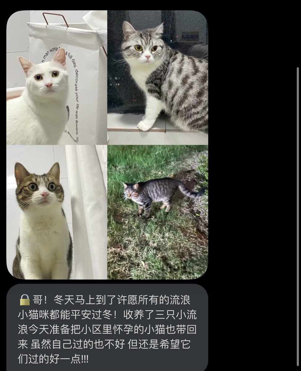 可爱 https://t.co/sTHFNl7QUw