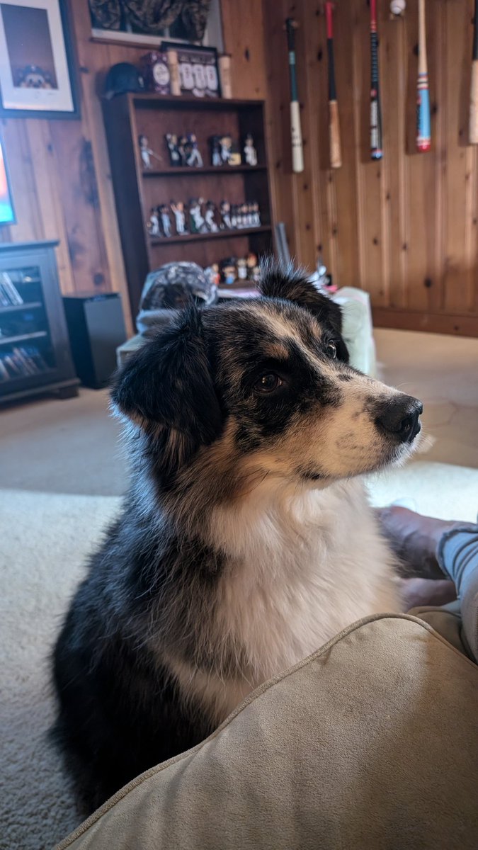 Brian Shipe tweet media