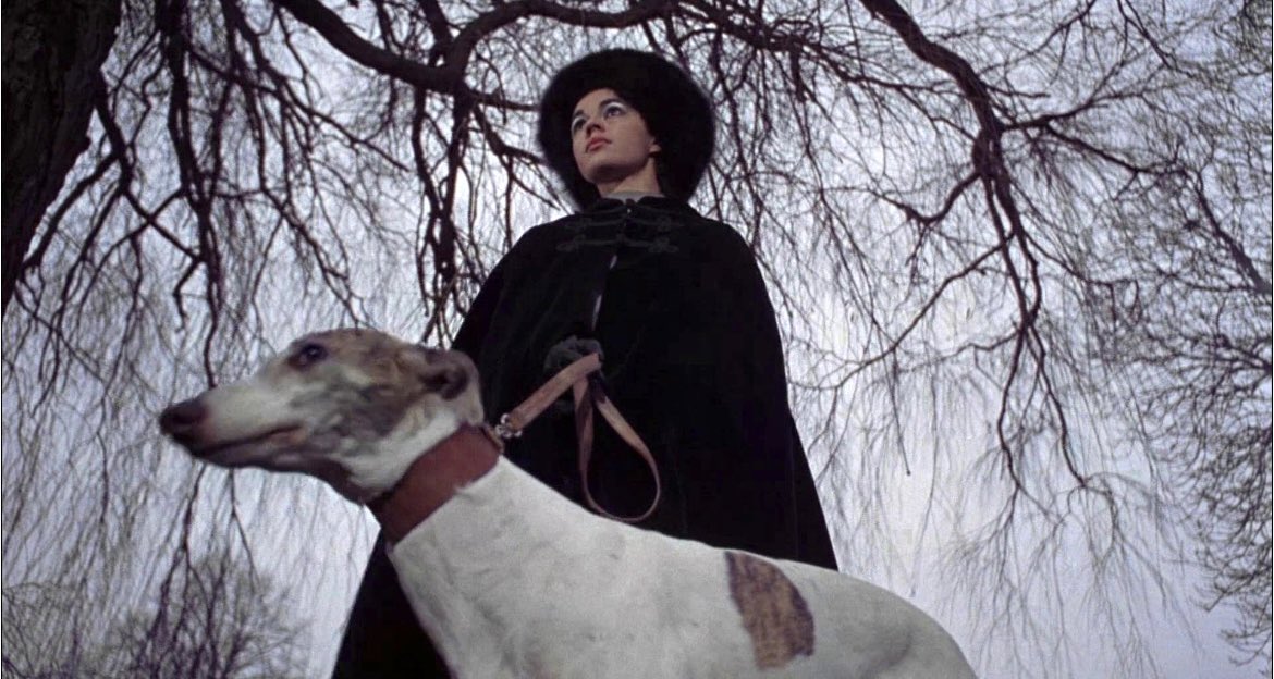 kennethmjohnson's tweet image. “Go boy! Go and fetch…..Kerwyn!” #TheAbominableDrPhibes #Svengoolie @Svengoolie @MeTV