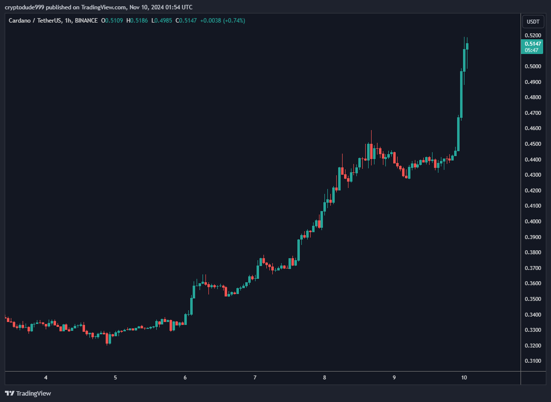 the dude tweet media