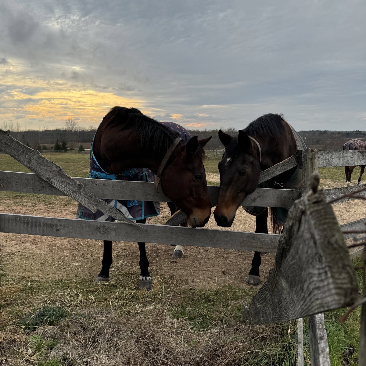 midnight&co (@midnightco1) on Twitter photo 