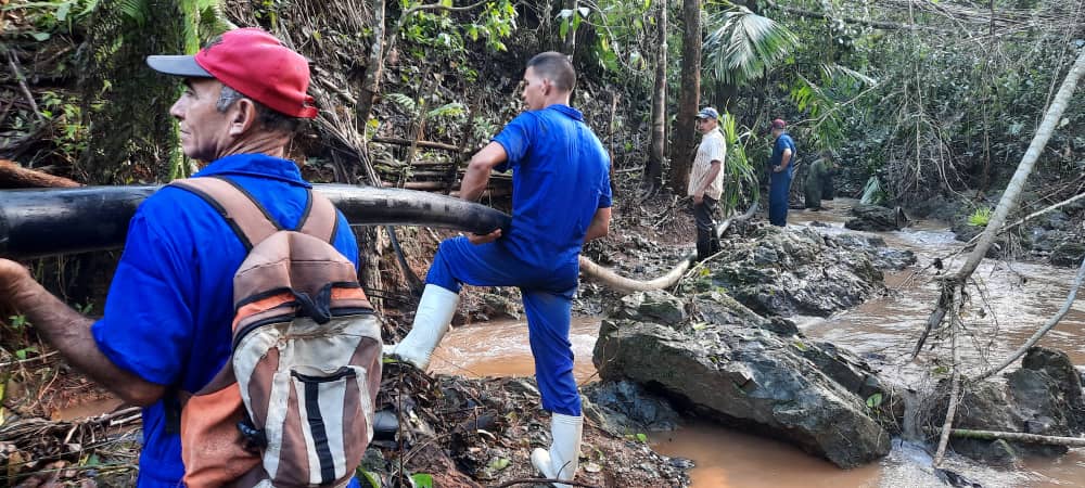 Inés María Chapman Waugh tweet media