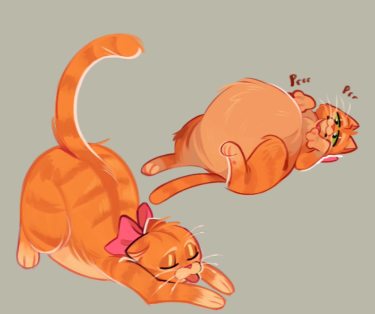 vf-Whitehall2.0🦆 tweet media