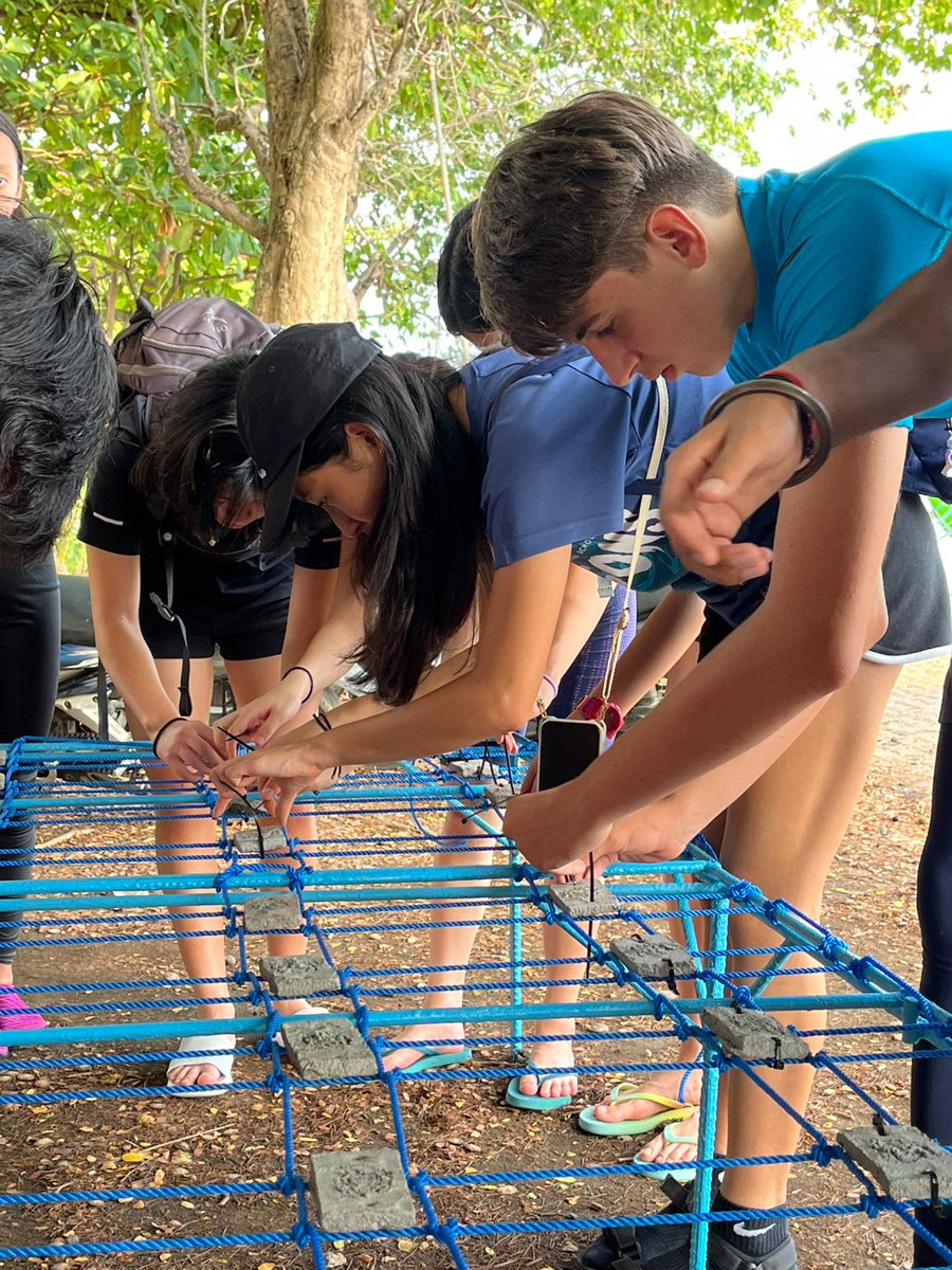 OELP @ AIS tweet media