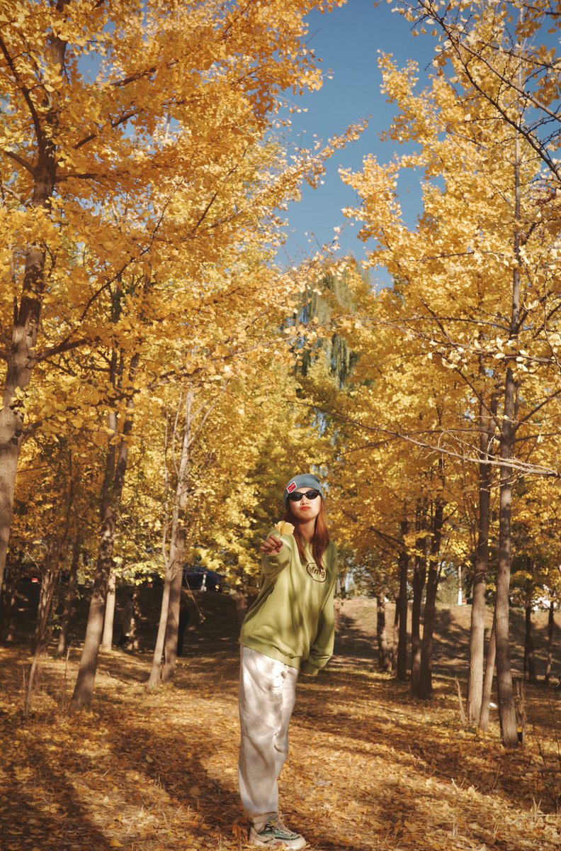 wenchenger's tweet photo. 赏秋🍂🍁

#🍂#秋ネイル #秋コーデ #autumm #fall #fallfashion #autummleaves #ginkgo #example #🍁 https://t.co/LXThBke61h