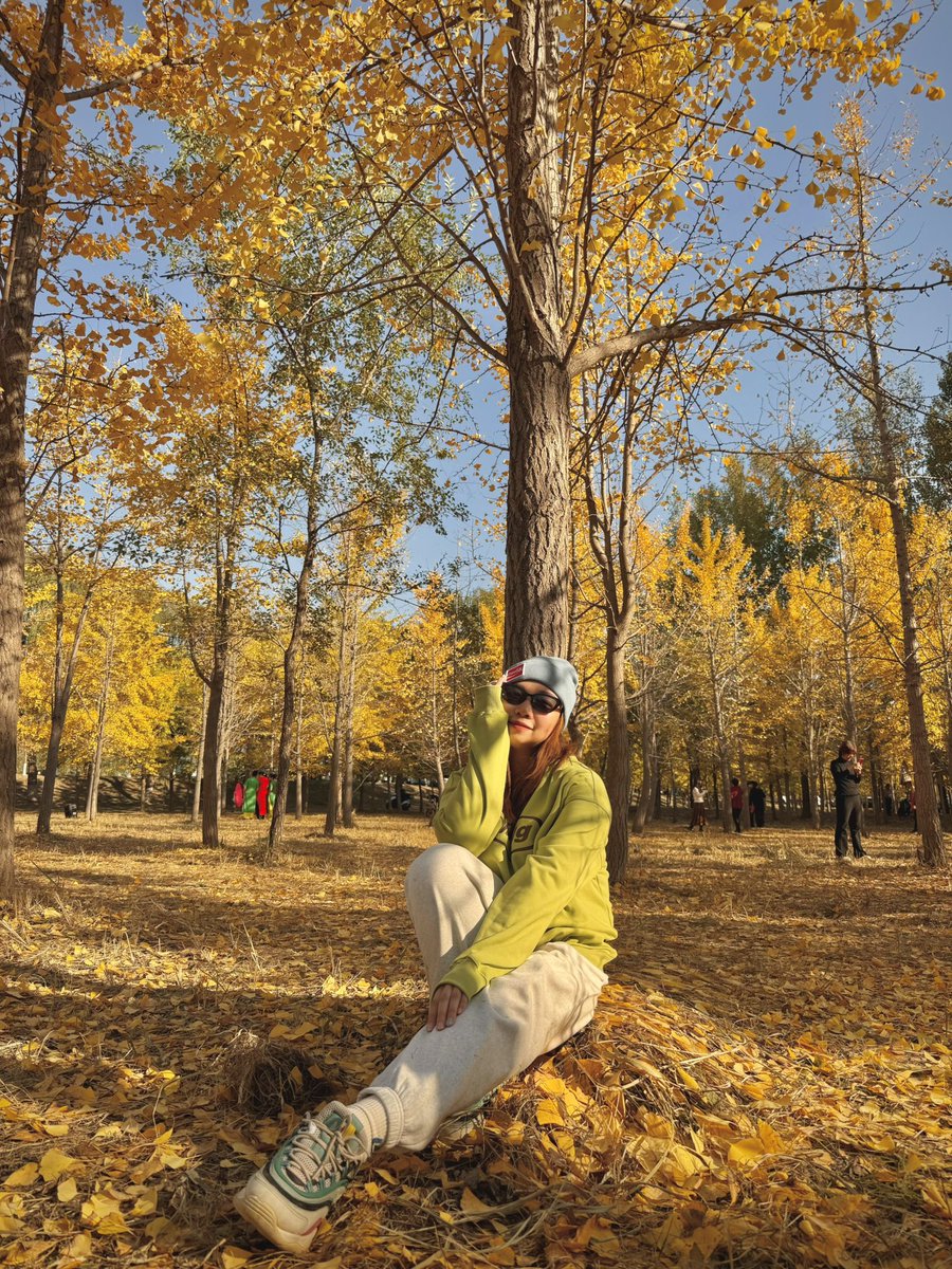 wenchenger's tweet photo. 赏秋🍂🍁

#🍂#秋ネイル #秋コーデ #autumm #fall #fallfashion #autummleaves #ginkgo #example #🍁 https://t.co/LXThBke61h