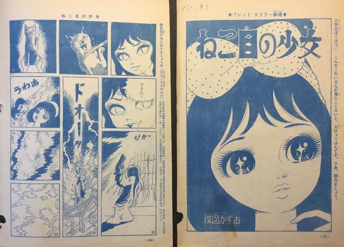 ねこ目の少女(楳図かずお 作画) / 古本、中古本、古書籍の通販は