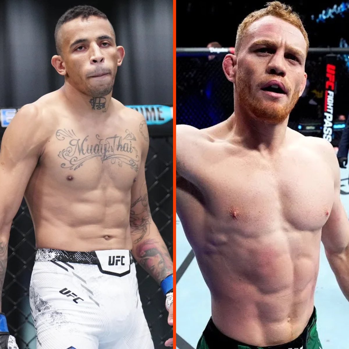 MMA Orbit tweet media