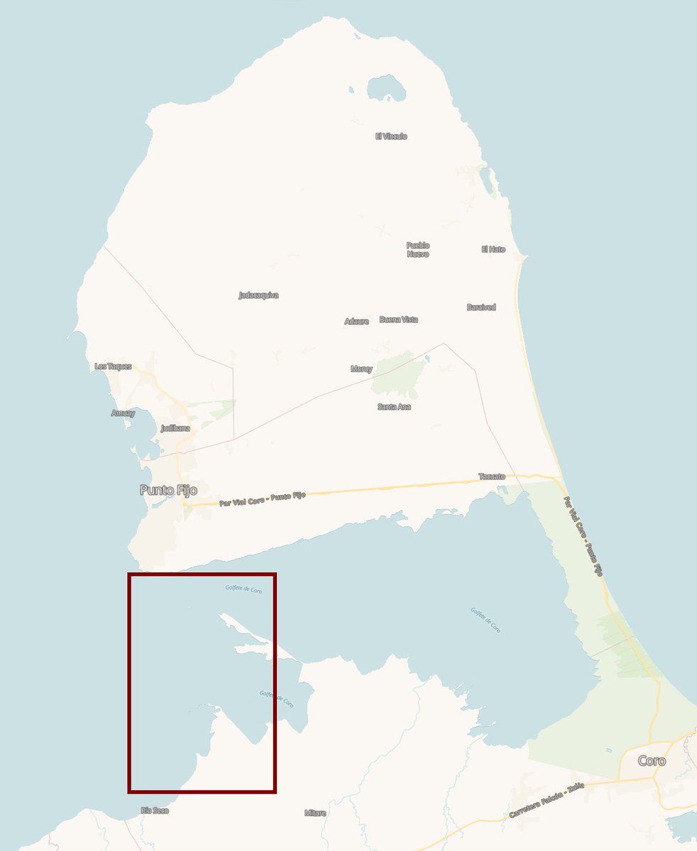 diodon histrix tweet media