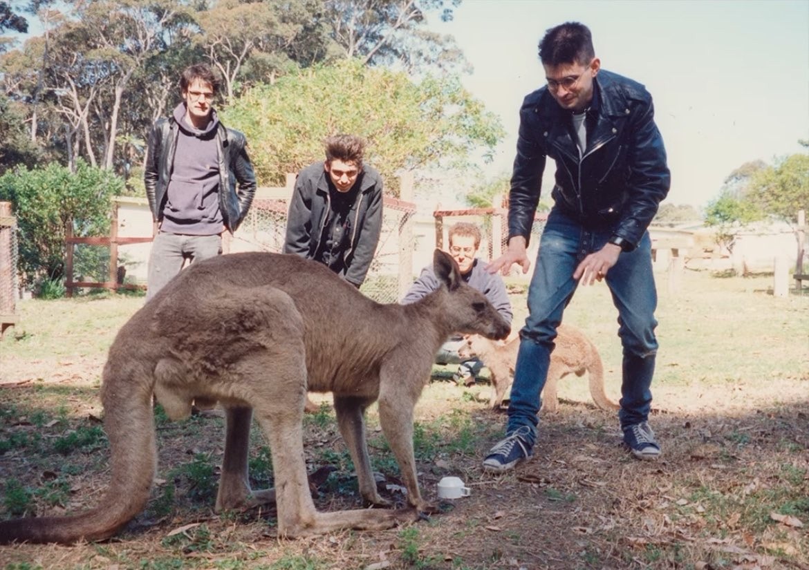 BUGMAN 𝈒⃥ ✈️👍 tweet media