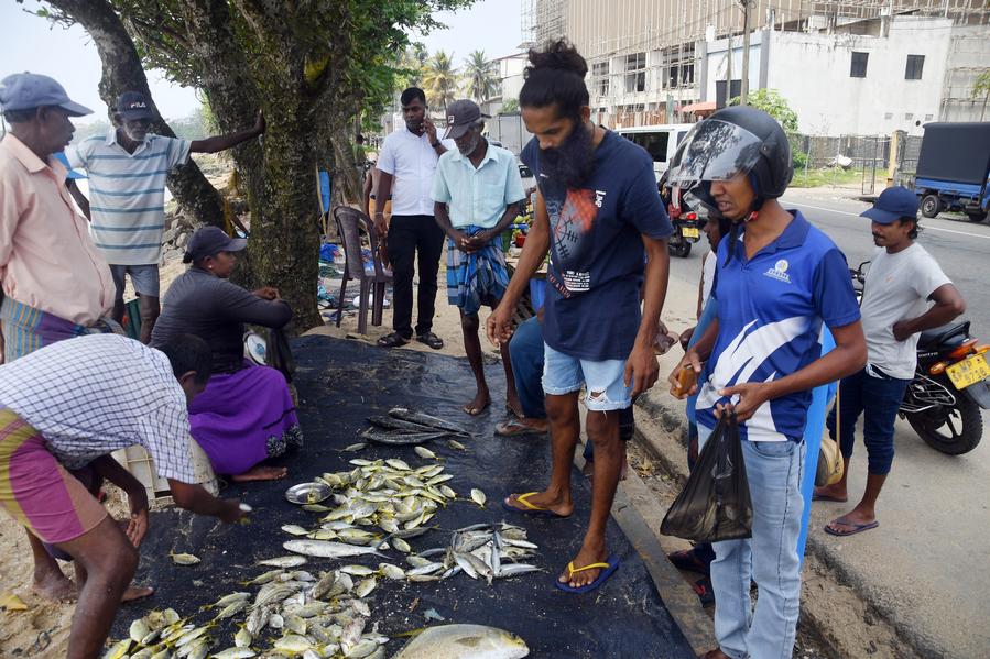 XHNews's tweet photo. A good way to experience a real slice of local life in Sri Lanka's Galle is to join the locals to buy fish at the fish market #AsiaAlbum https://t.co/MzqWiCx2R7 https://t.co/TMpq7Vo8XZ