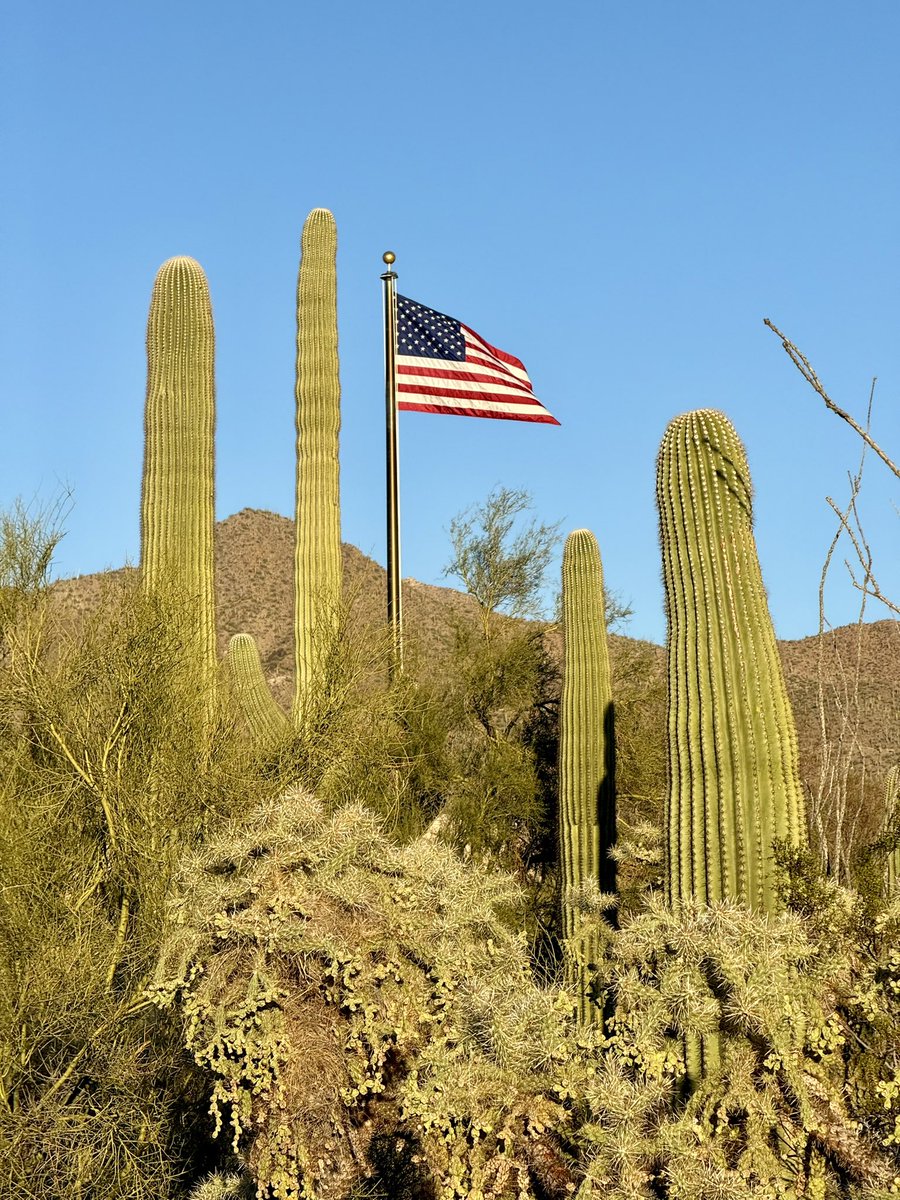 Embrace The Journey (@etj_holalife) on Twitter photo 