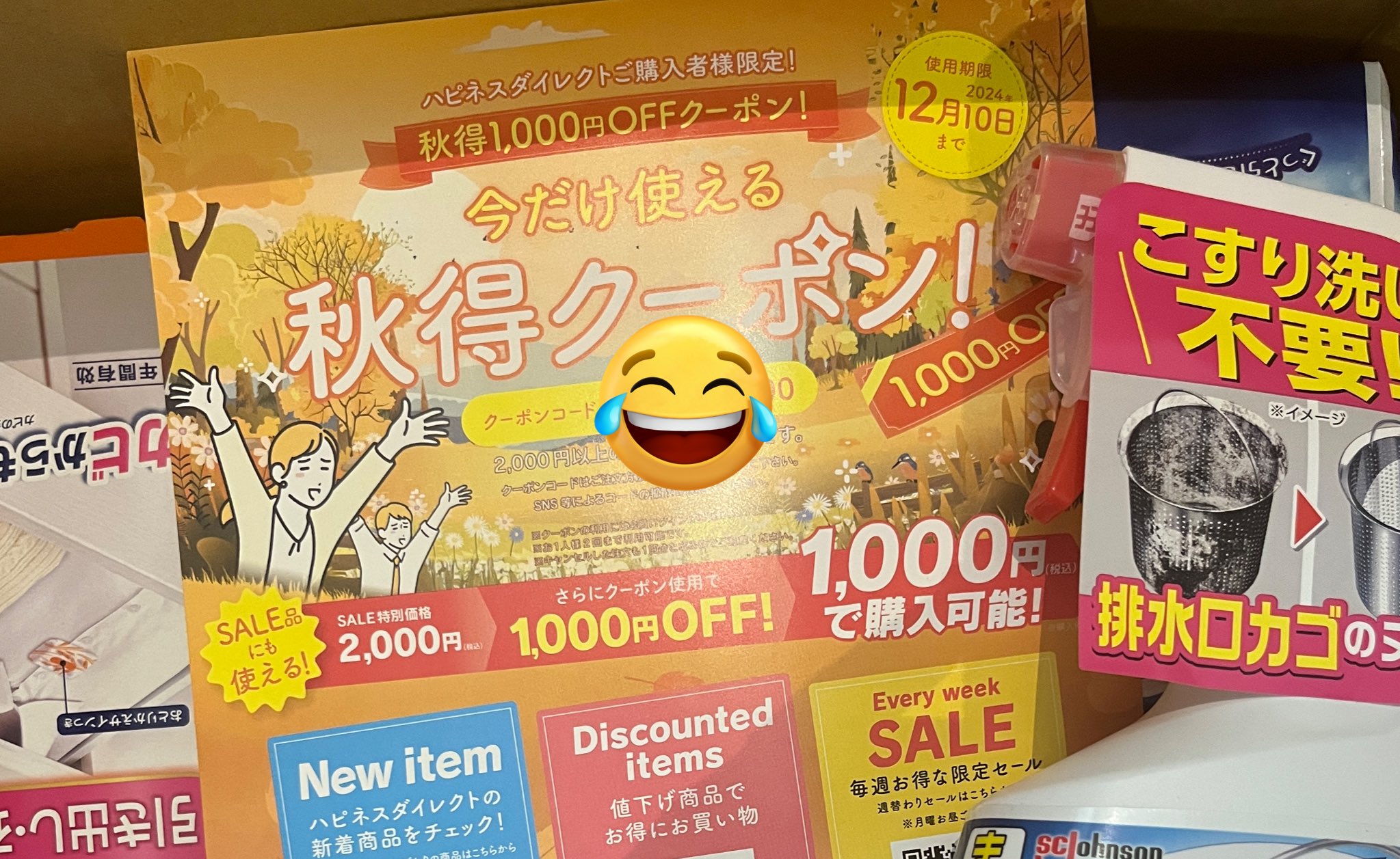 【超歓迎】 むちこ on X:  工芸品