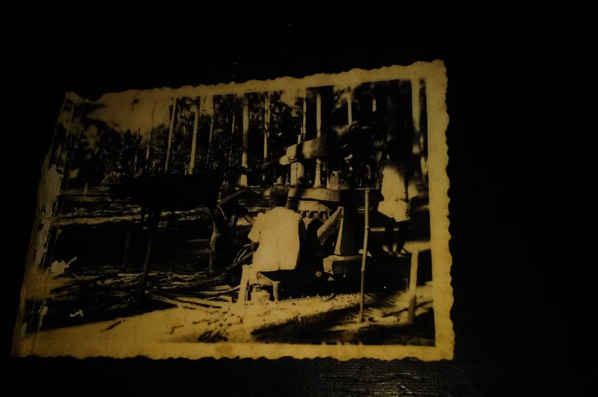 BiblengCo's tweet image. Raden Srojo Titiwardojo Pakubowono I and Raden Ayu Jinem COKROKUSUMO Cokroadiningrat II and their home and Jinem’s sugar factory in Tunjungrejo. Jinem employed many Tunjungrejo workers. 

“I stands tall on shoulders of my ancestors” -GRAj COKROKUSUMO 

#founder #story #Bibleng