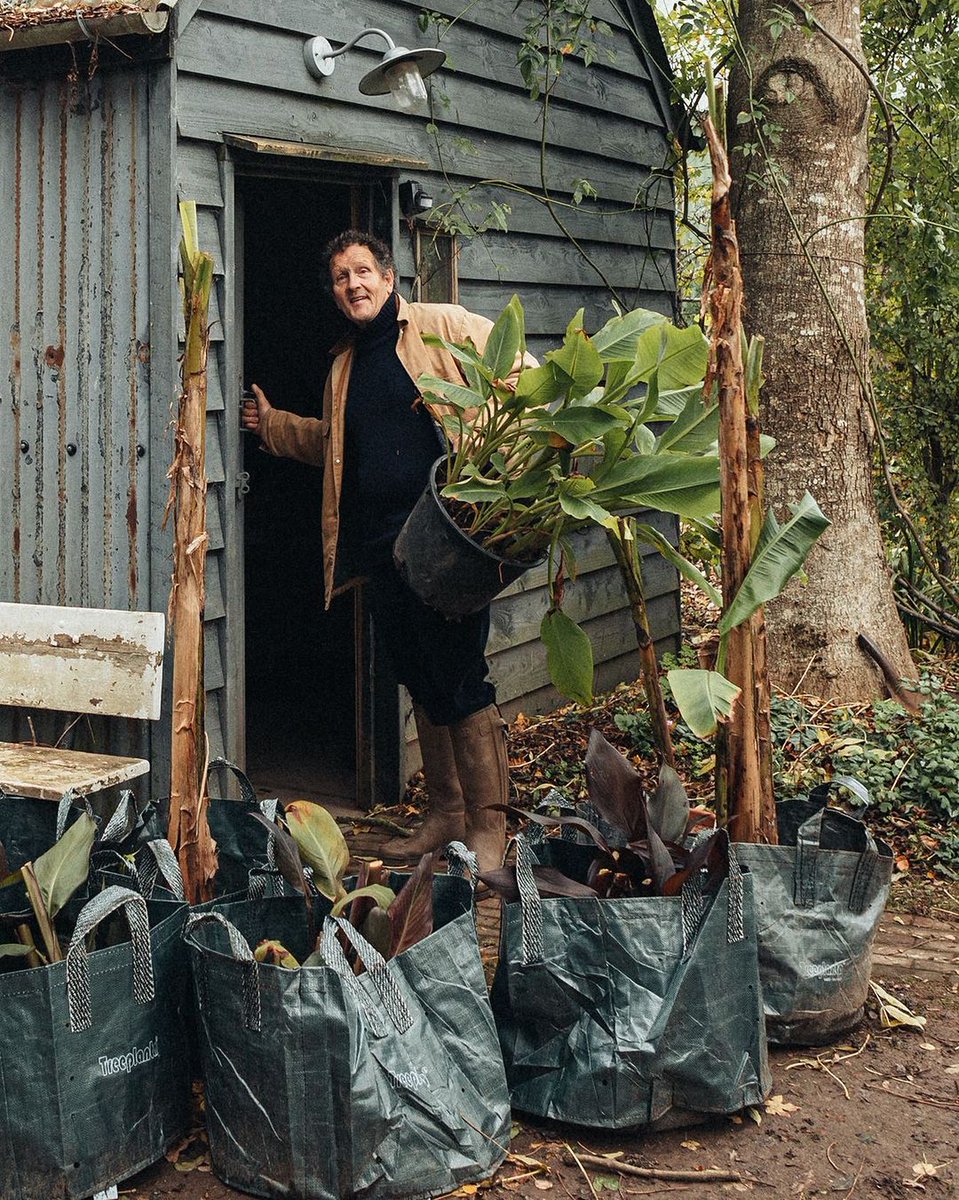 derek guy tweet media