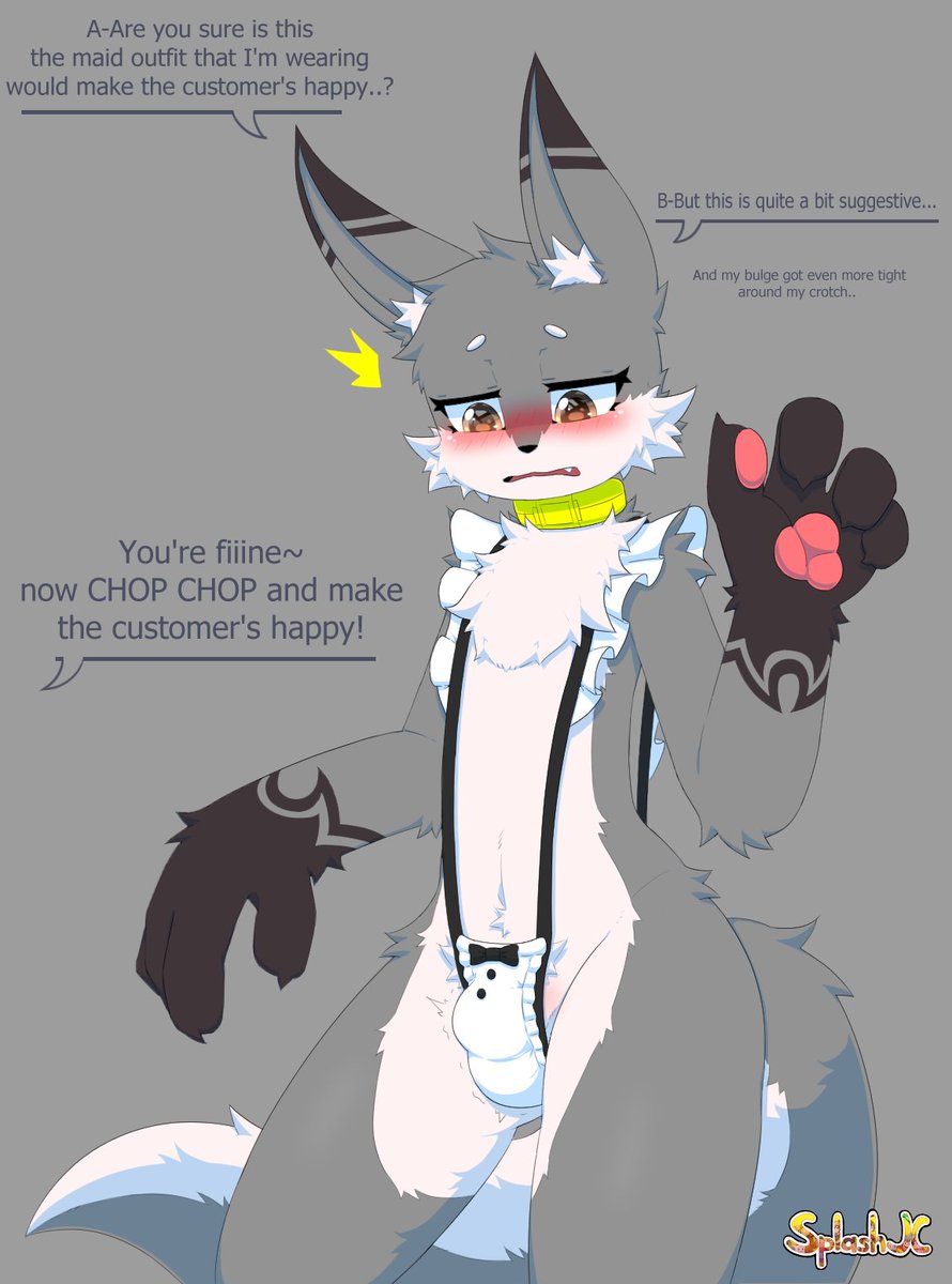 SplashJC tweet media