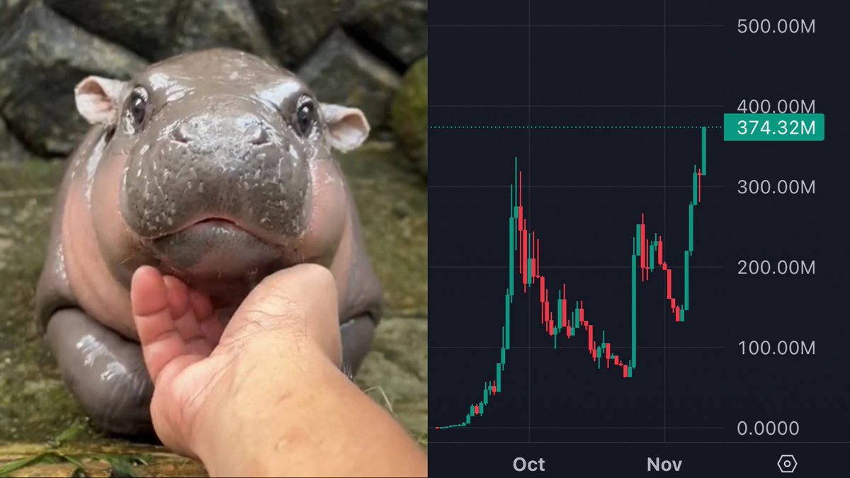 NEW: SOLANA MEMECOIN $MOODENG (<a href="/MooDengSOL/">Fan Page | Moo Deng</a>) HITS NEW ATH