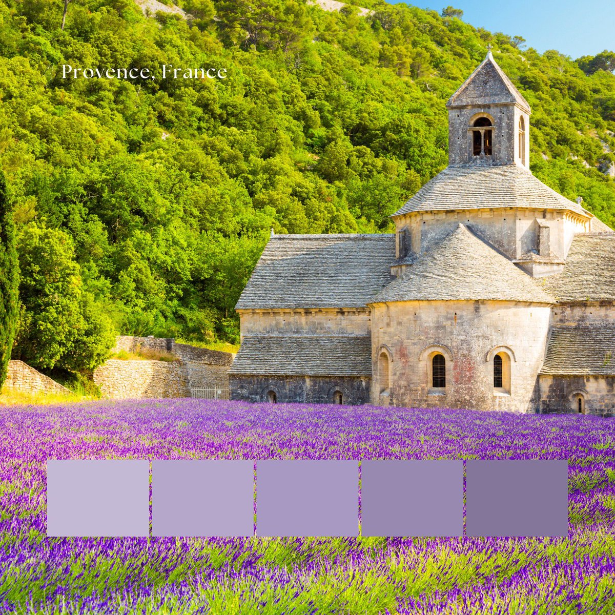 Which animal would your little one spot first on an adventure through Provence? 🐦🦊 Customize your kid's #Provence inspired world map now 📌 buff.ly/4fdvFbM #worldmap #customgift