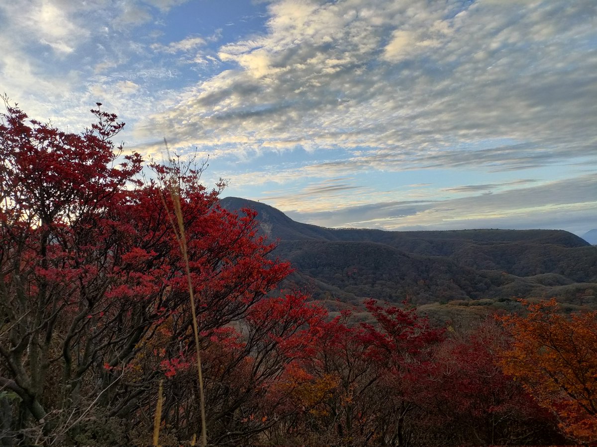 souhiro0313's tweet photo. くじゅう登山に行ってきました。午後から雨の予報なので降る前に下山できてよかった。紅葉🍁も終わりかけですが、見れました。 https://t.co/2L9OxeQRWn