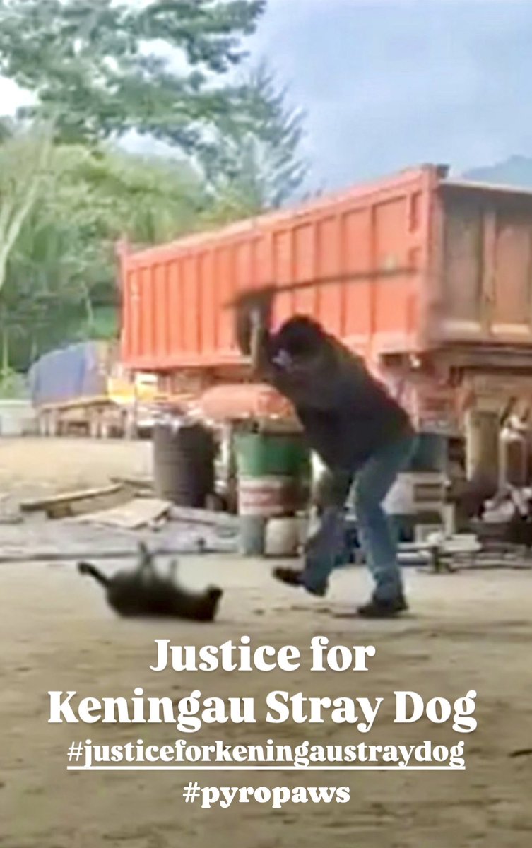AJpyroMMA's tweet photo. Stop animal cruelty !
Justice for the Keningau stray dog πΆ
Justice for Kopi πΆ
Justice for all stray animals πΏπΆ
Stand up and be the voice to the voiceless, defenceless and homeless animals.
#bekindtoanimals
#justiceforkeningaustraydog
#justiceforkopi
#dog #cat #pyropaws https://t.co/qFXfBz2CRn