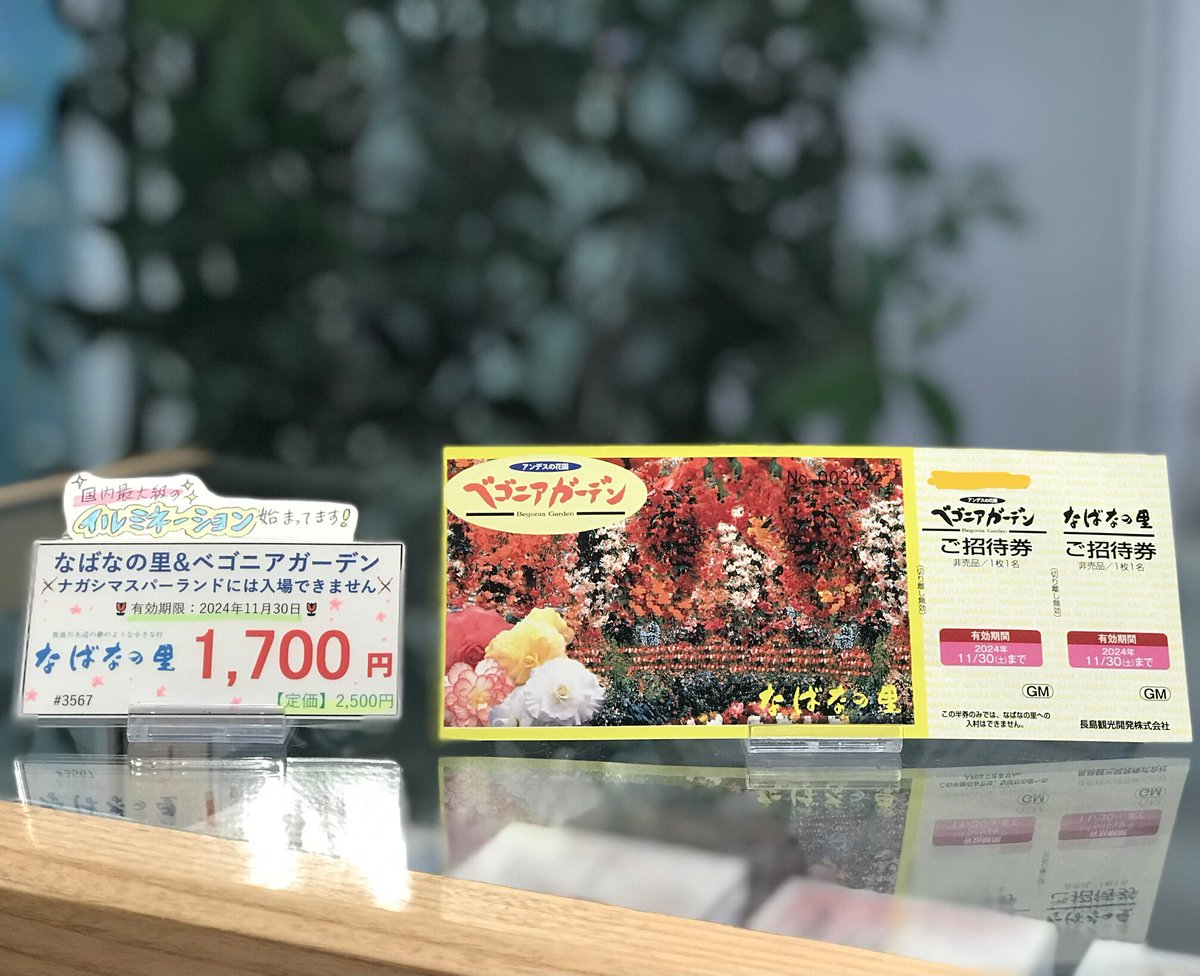 なばなの里、ベゴニアガーデン入場券 なばなの里 イルミネーション ベゴニアガーデン 入場券 入館券 入村券