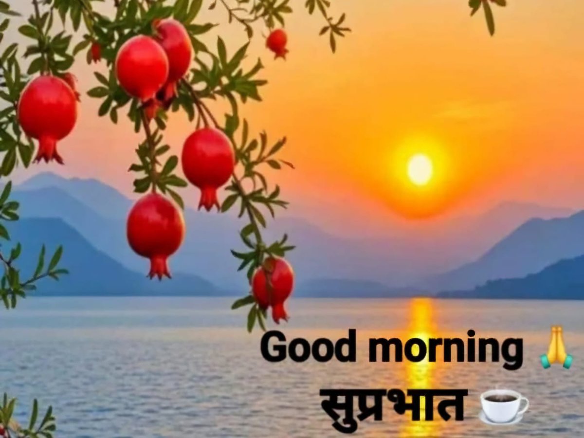 ShuklaSdDr's tweet photo. सुप्रभात मित्रों शुभ रविवार 
।।ओम भास्कराय नमः।।
स्वस्थ एवं प्रसन्न रहें 
🙏🌹🚩🌹🙏 https://t.co/hqQcSxW05Q