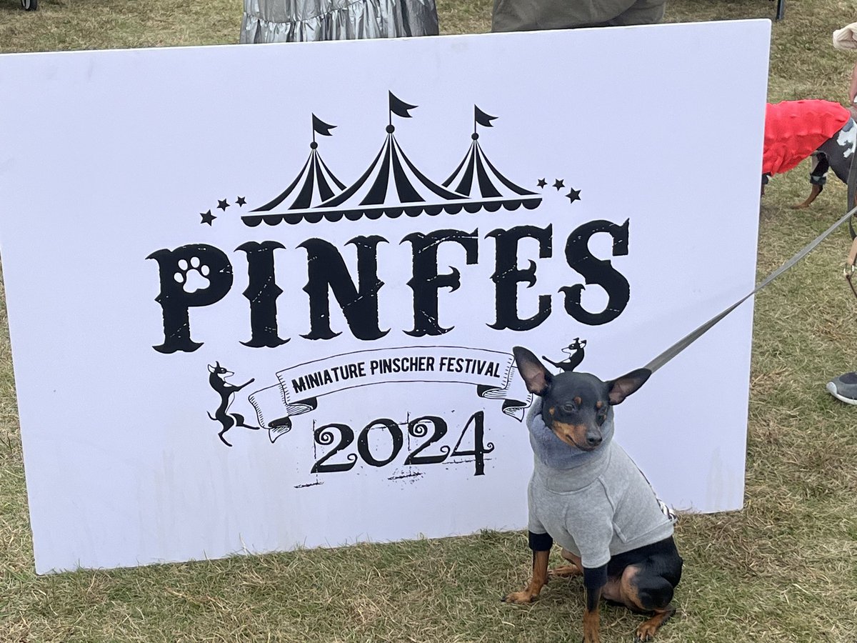 takepan0211's tweet photo. #ピンフェス2024 https://t.co/qp03WEaPpR