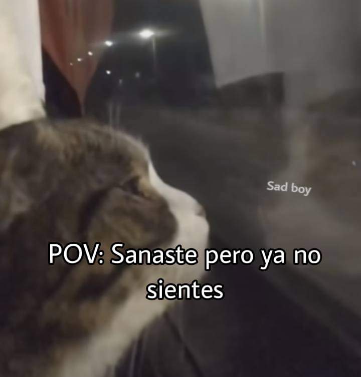En Júpiter (@en_jupiter_) on Twitter photo 