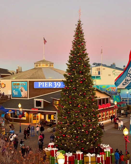 amyellen258's tweet photo. Pier 39, just one of many places in San Francisco to go big for the holidays! #sanfrancisco #pier39 #tistheseason #christmastreefarm https://t.co/bk1klxeOT9