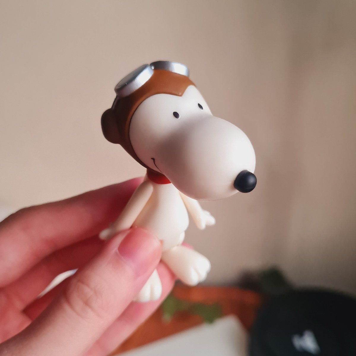 pinagkaitan_'s tweet photo. my bf bought me esnupi from japan and he looks so DUMB i care him https://t.co/aj6mA1woMO