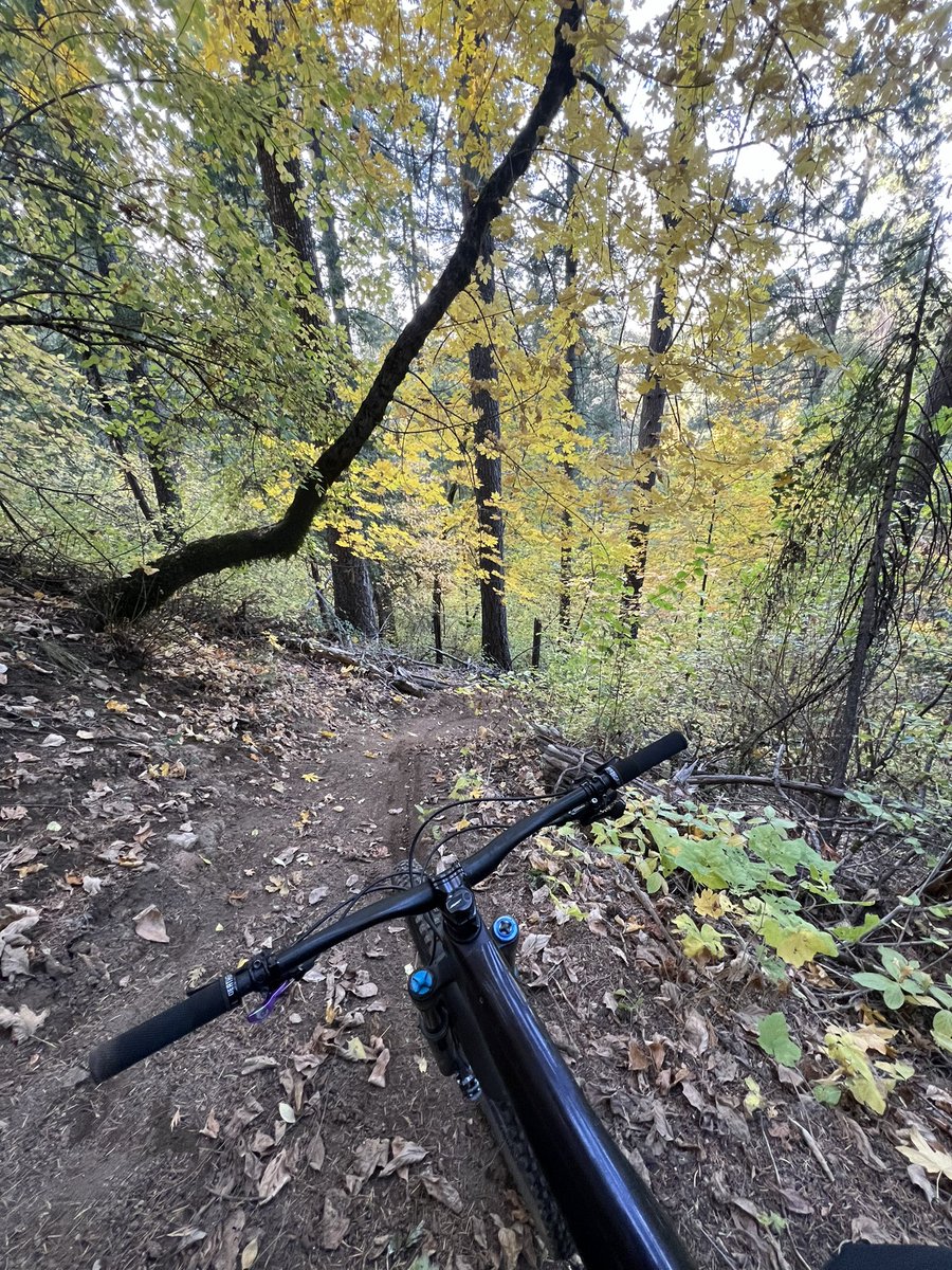 matt lorelli tweet media