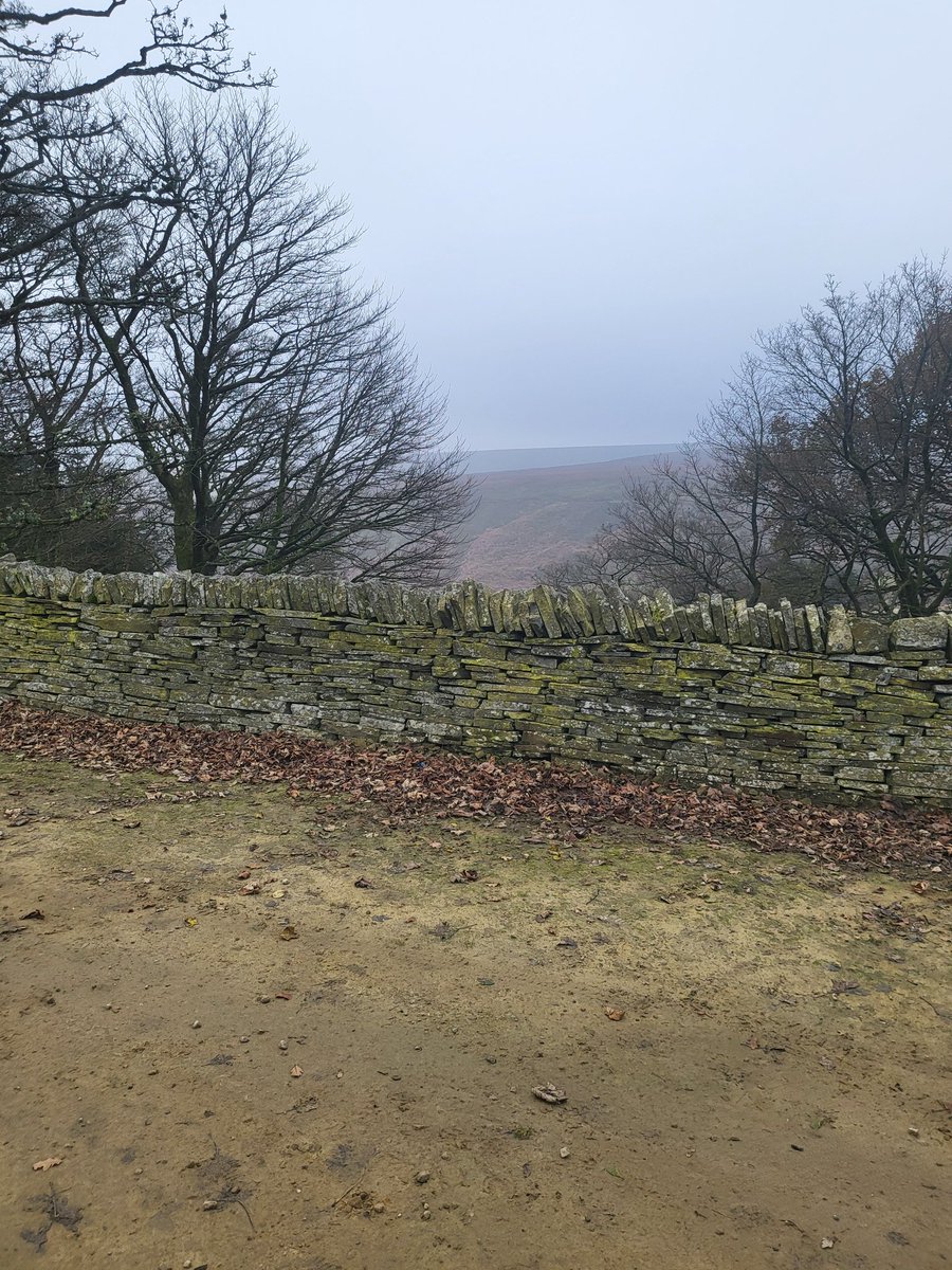 Sphagnum planting w/ <a href="/moorsforfuture/">Moors for the Future</a>