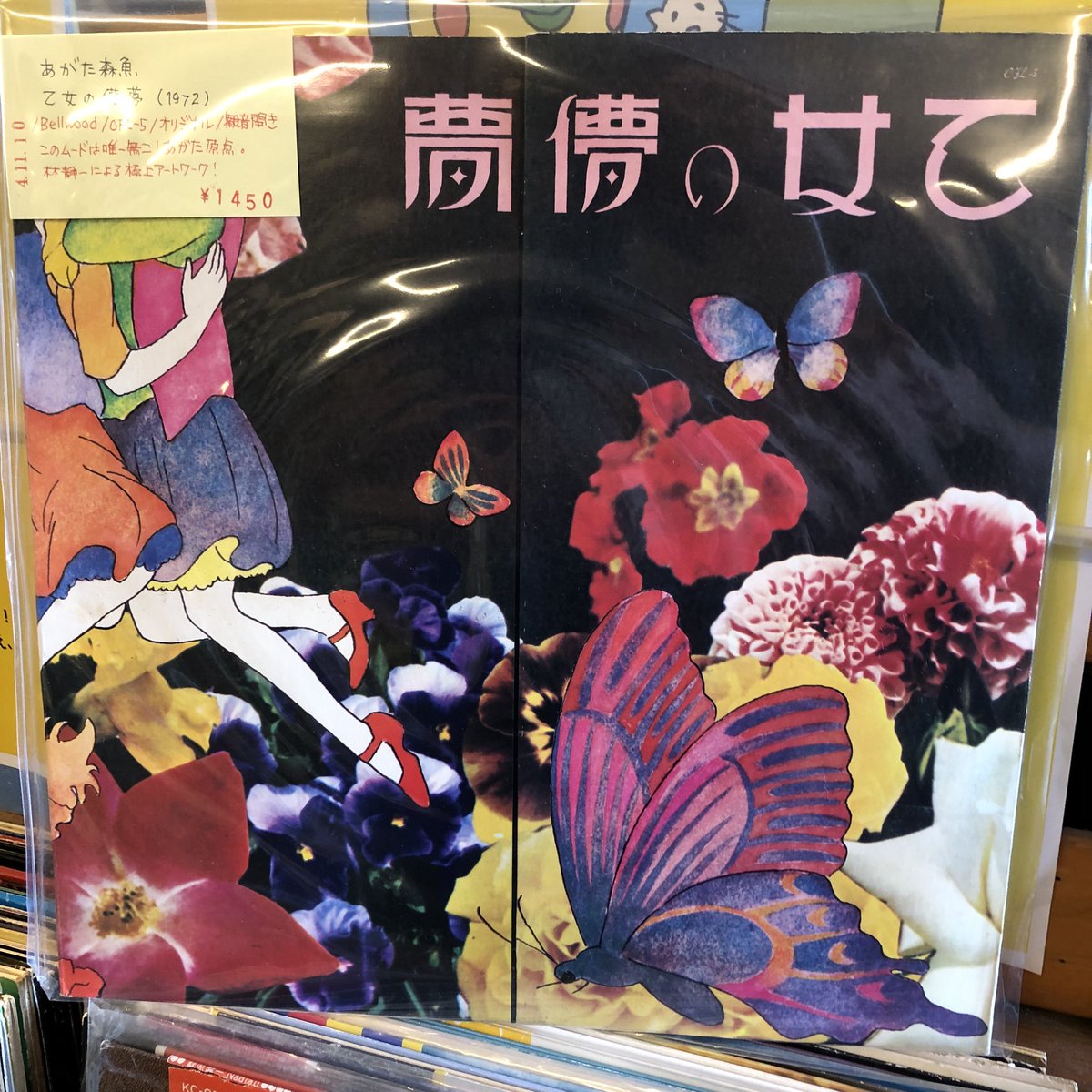 coriandremusic's tweet photo. #cdya 入荷しました！

あがた森魚
乙女の儚夢

(LP国内盤)
■中古1,450円

/ Bellwood / OFL-5 / 1972

あがた森魚の原点、このどきどきするトータルコンセプトアルバムの存在は今も特別！林静一による絶品のアートワークはぜひオリジナルのレコードで体感を。 https://t.co/fTyvOe1QDI
