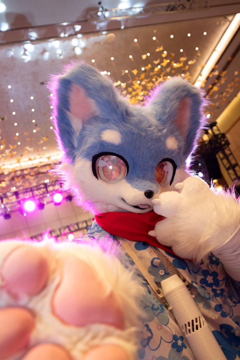 MilkCandyQwQ's tweet photo. 是在拍我嘛w～？
#FursuitEveryday https://t.co/xnfyTNLQM6