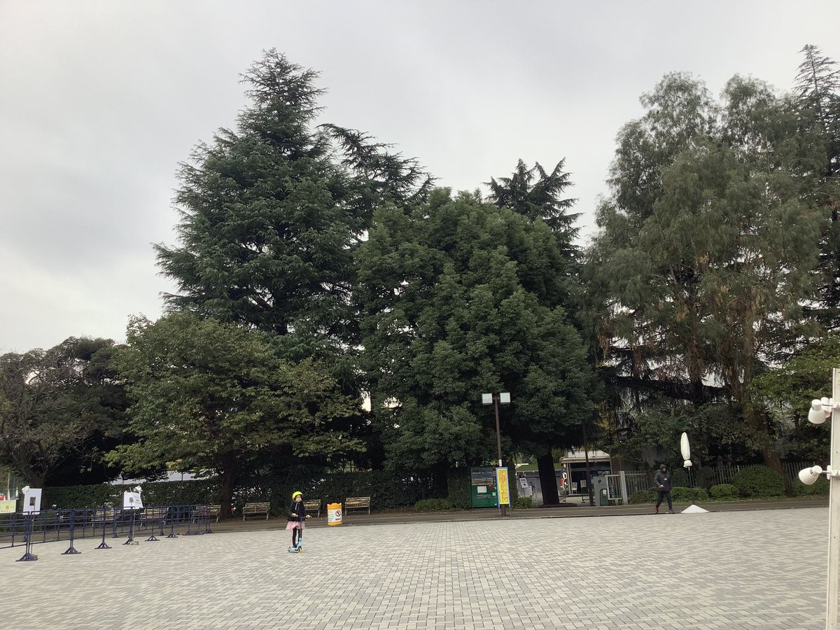 Rochelle Kopp / Japan Intercultural Consulting tweet media