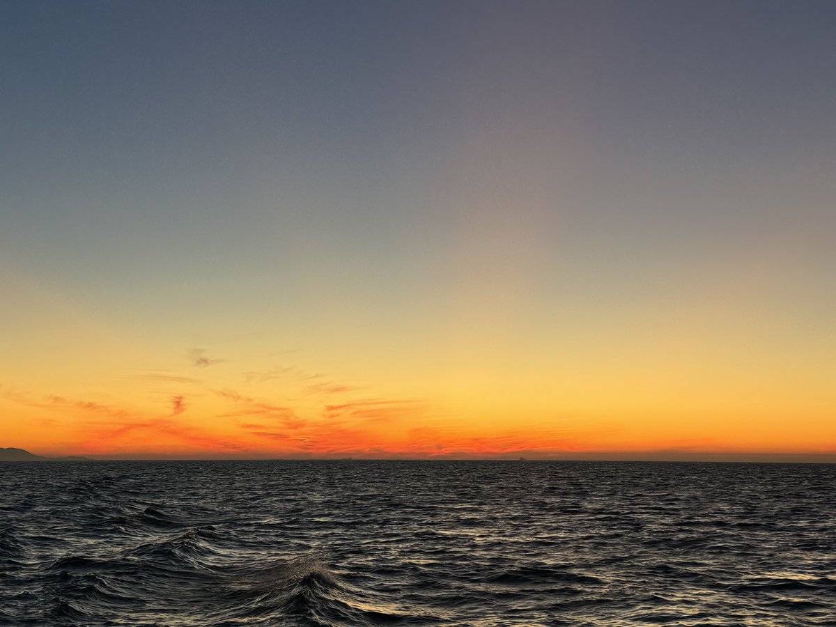 😊 

(one day I’ll invest in an underwater camera to capture the sea lion that dove with us 🦭)